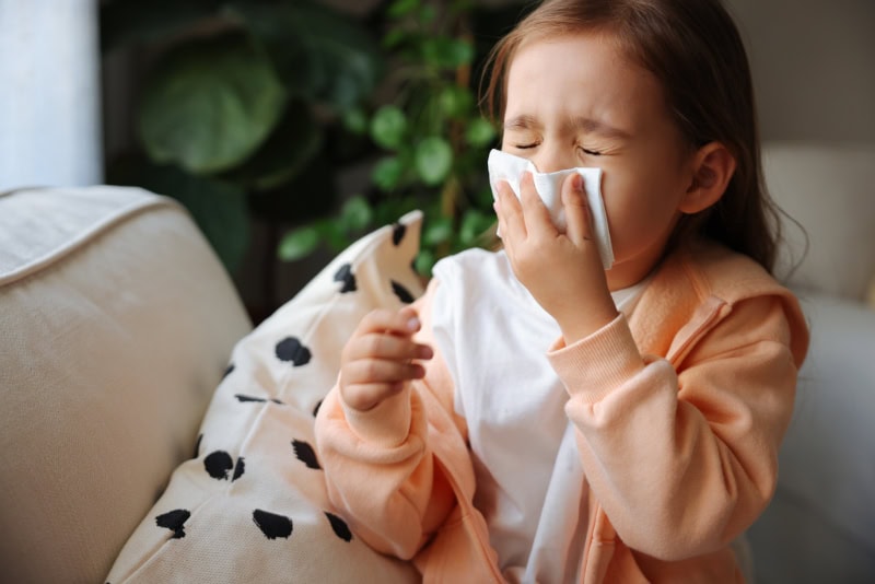 What Does Indoor Air Quality Have to Do With Allergies?